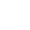 surveyor